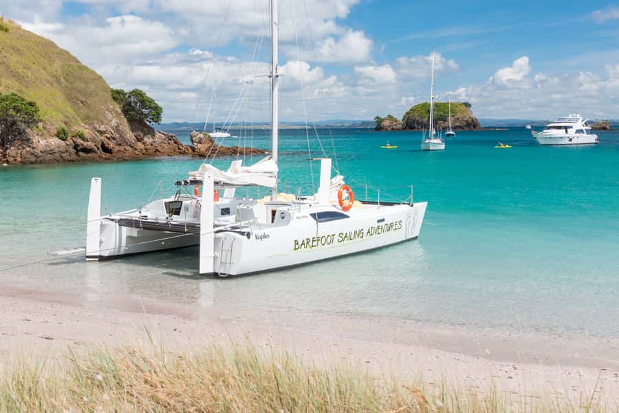 Bay of Islands: Catamaran Sail, Wildlife Island & Lunch - Who should book this Paihia sailing trip?
