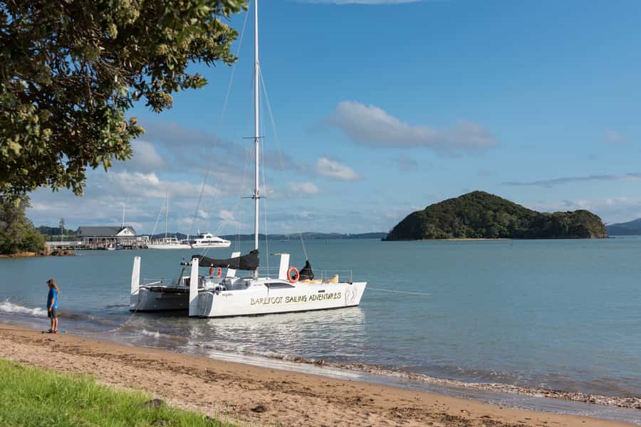 Bay of Islands: Catamaran Sail, Wildlife Island & Lunch - The two-hour stop on a wildlife sanctuary island