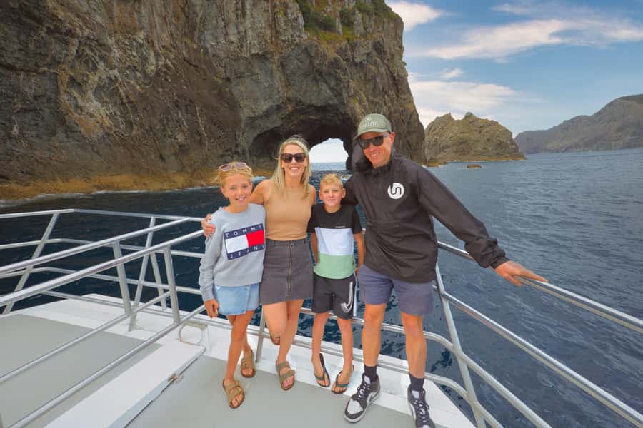 Bay of Islands: Discover the Bay Cruise with Island Lunch - Looking for dolphins, whales, seals, and birds