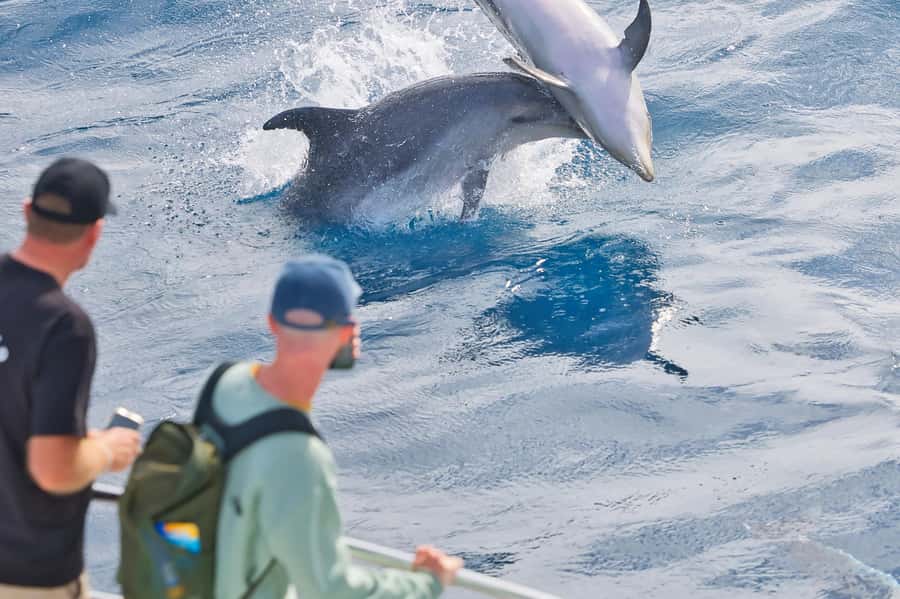 Bay of Islands: Discover the Bay Cruise with Island Lunch - The Hole in the Rock, with weather in command