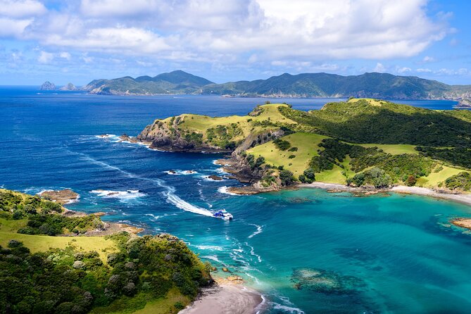 Bay of Islands Discovery Experience from Auckland incl. Hole In The Rock Cruise - Auckland to Paihia, a long but useful road trip