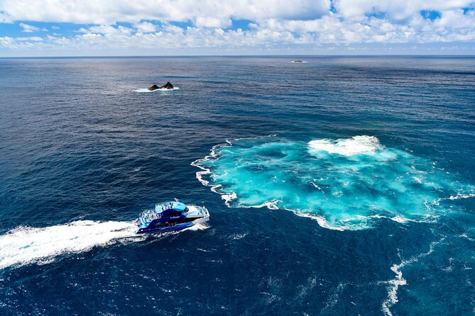 Bay of Islands Discovery Experience from Auckland incl. Hole In The Rock Cruise - Boarding the Bay of Islands cruise