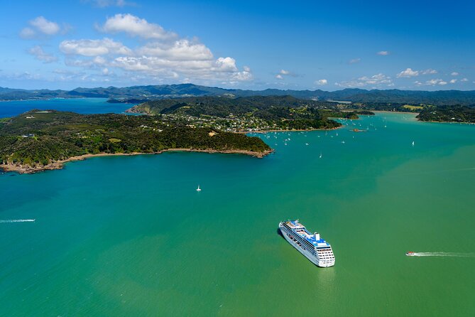 Bay of Islands Discovery Experience from Auckland incl. Hole In The Rock Cruise - Watching dolphins and other marine life