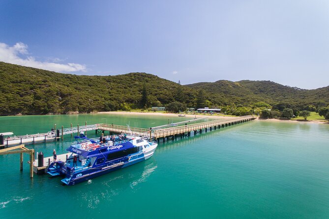 Bay of Islands Discovery Experience from Auckland incl. Hole In The Rock Cruise - Passing through the Hole in the Rock
