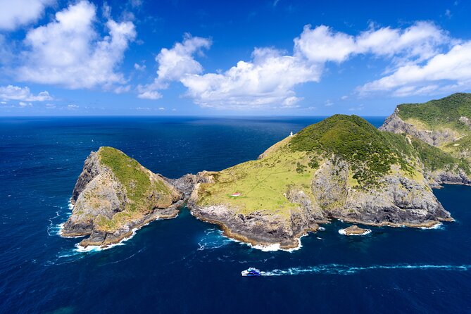 Bay of Islands Explorer Experience Small Group Tour From Auckland - What the $294.77 price covers
