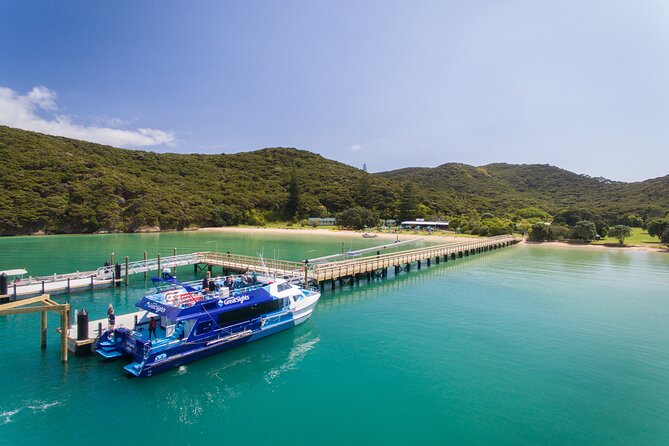 Bay of Islands Explorer Experience Small Group Tour From Auckland - Boarding the Bay of Islands cruise