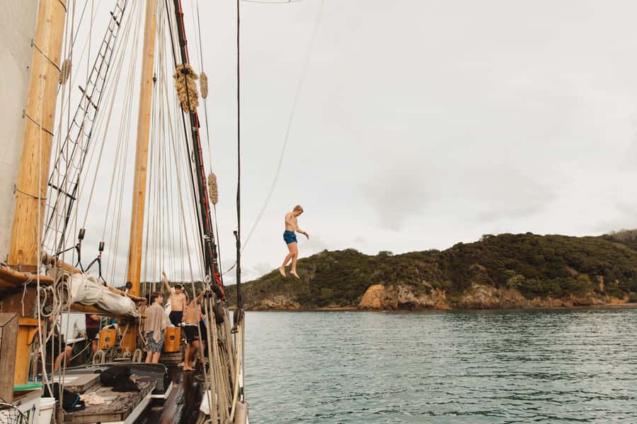 Bay of Islands: Full-Day Tall Ship Sailing Excursion - Steering the R. Tucker Thompson