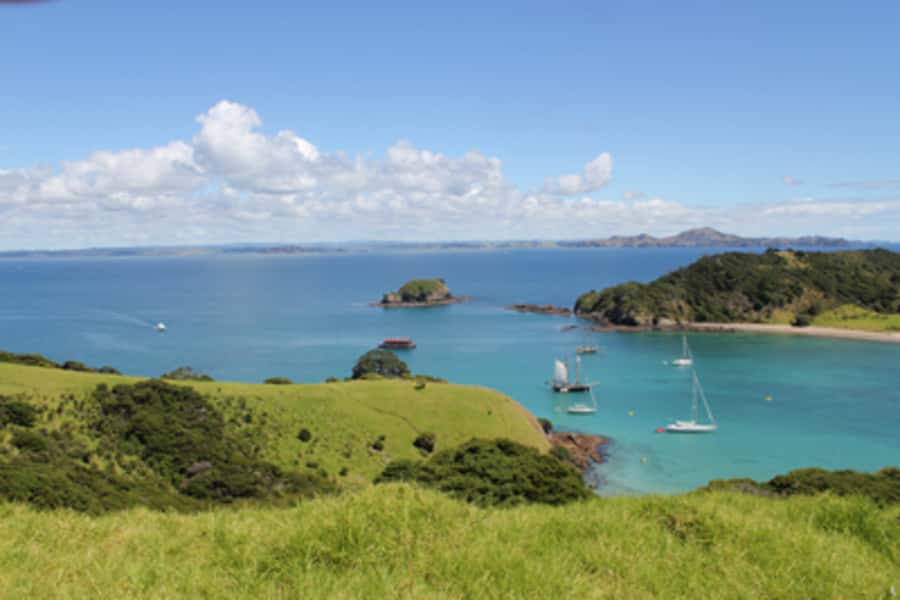 Bay of Islands: Full-Day Tall Ship Sailing Excursion - The return to Russell
