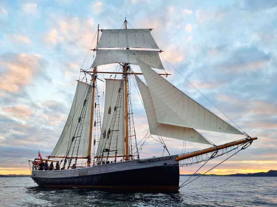 Bay of Islands: Late Afternoon Sailing Cruise - Key points to know before sailing