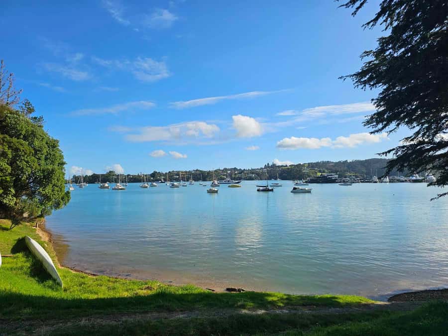 Bay of Islands - Mini Tour (75-90 mins) - What the $44 price gets you