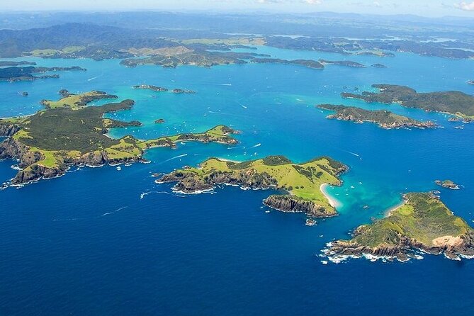 Bay of Islands Private Tour - Who should book this Auckland day trip?