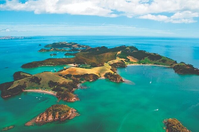 Bay of Islands Private Tour - Paihia and the 4.5-hour catamaran cruise