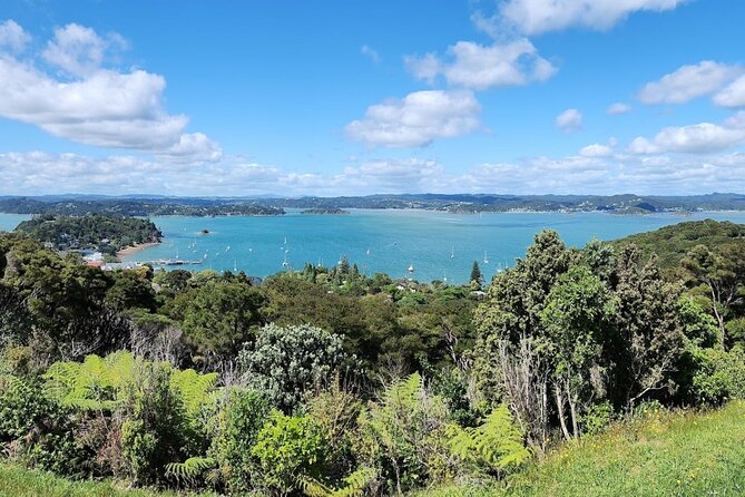 Bay of Islands Scenic Tour - Starting near Waitangi and Paihia