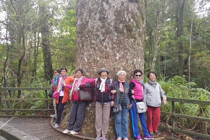 Bay of Islands Shore Excursion: Puketi Rainforest Guided Walk - How demanding is the two-hour route?