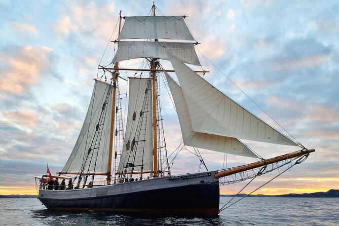Bay of Islands Tall Ship Sundowner Sailing - Key points to know before you book