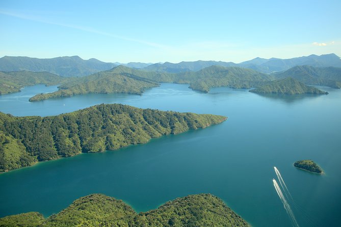 Bays and Bush Flight Scenic Tour - Key points to know before booking