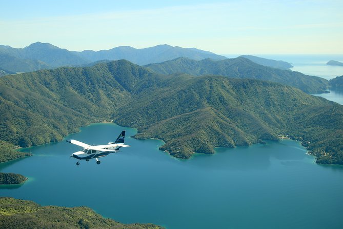 Bays and Bush Flight Scenic Tour - Why seeing the Marlborough Sounds from the air matters