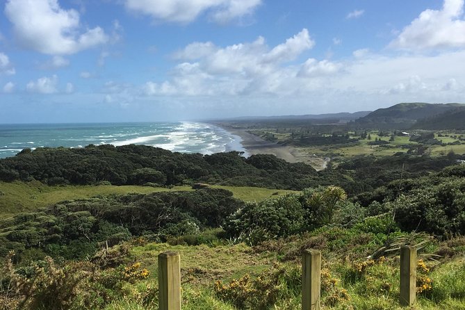 Beautiful Nature Tours Auckland - Private Tour - Snacks, Water, and the Picnic Question