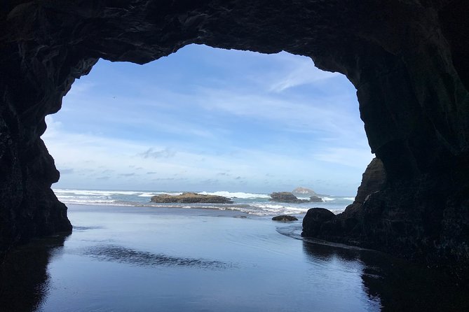 Beautiful Nature Tours Auckland - Private Tour - Who Will Get the Most From This Tour?