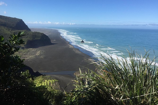Beautiful Nature Tours Auckland - Private Tour - Wildlife Without a Zoo or Wildlife Cruise