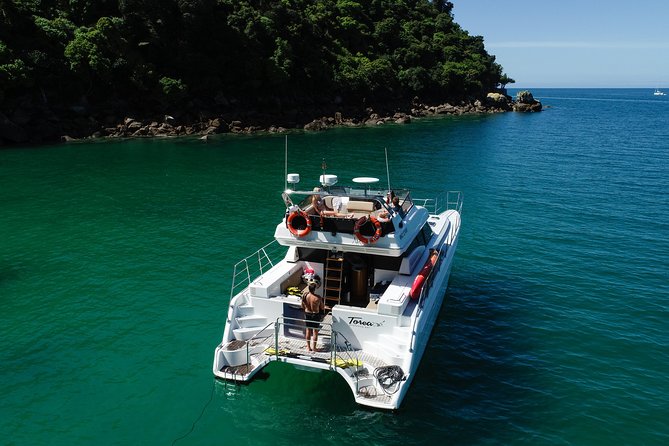 Best Abel Tasman Day trip - A small boat with a big view of Abel Tasman