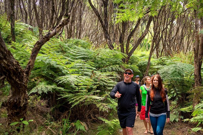 Best Abel Tasman Day trip - Lunch on board, with more than a packed sandwich