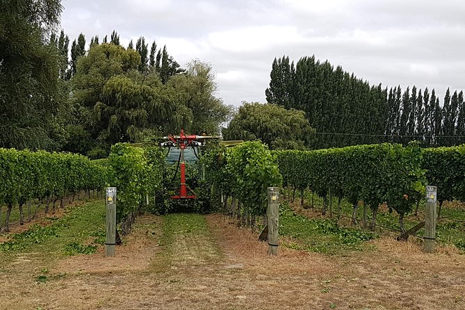 Beyond the Vines - Full-Day Marlborough Wine Tasting Tour - What the winery variety adds