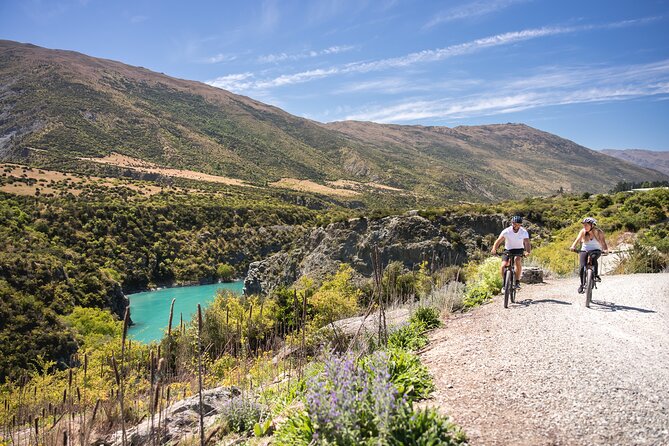 Bike The Wineries (1/2 Day) - Quick Pedal to Pinot - What the $58.95 price really covers