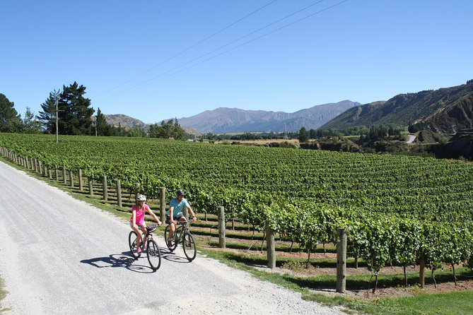 Bike The Wineries (3/4 Day) - Ride Through Queenstown Vineyards - Should you book Bike The Wineries?