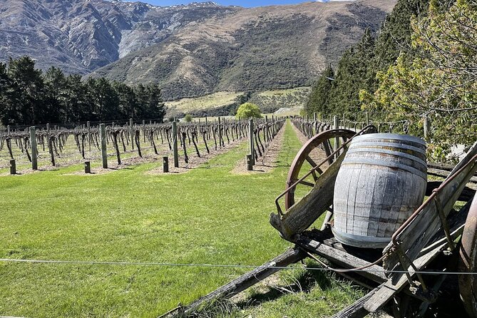 Bike & Wine Tour: Arrowtown to Valley of the Vines - Key points to know before you book