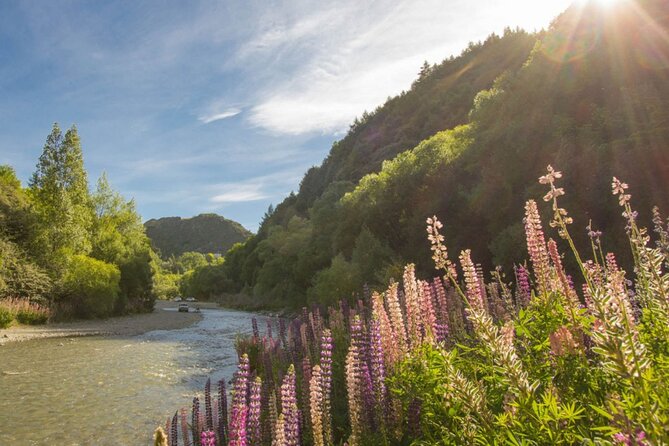 Bike & Wine Tour: Arrowtown to Valley of the Vines - The winery choices, from cave tour to fire-side wine