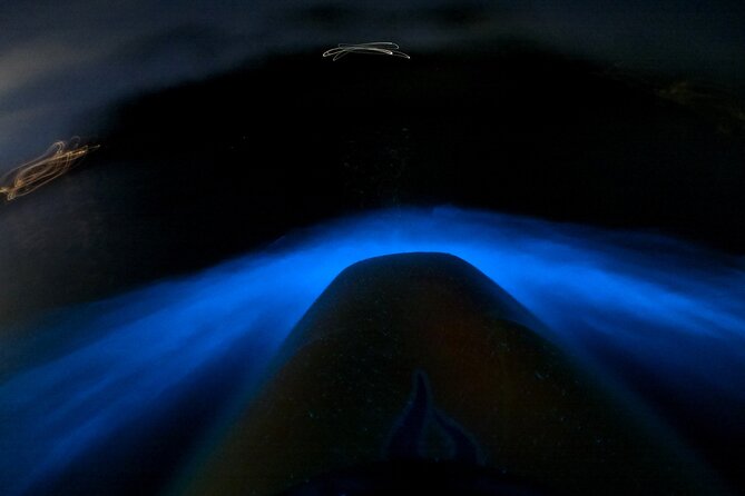Bioluminescence Kayak Tour - Est. 1994 - Why Auckland’s night water can look like a galaxy