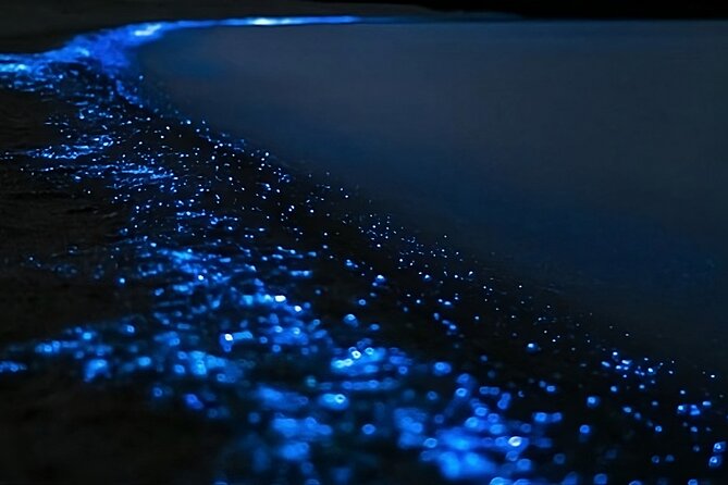 Bioluminescence Kayak Tour - Est. 1994 - Meeting in Rosedale, then heading toward the reserve