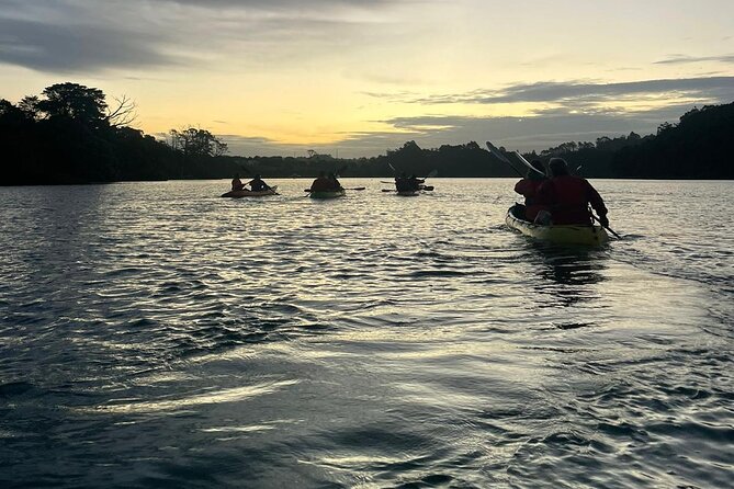 Bioluminescence Kayak Tour - Est. 1994 - Guides, safety, and the beginner experience