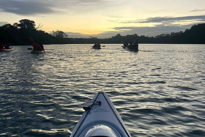Bioluminescence Kayak Tour - Est. 1994 - Is $73.85 good value?