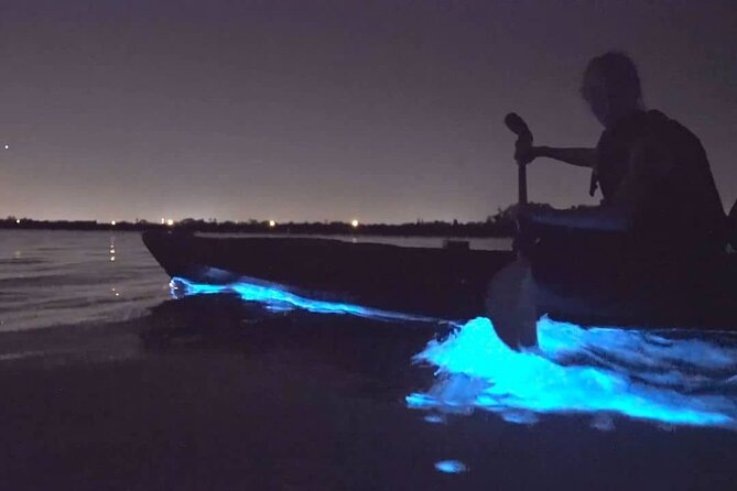 Bioluminescence Kayak Tour - Est. 1994 - Who will enjoy this Auckland kayak tour?