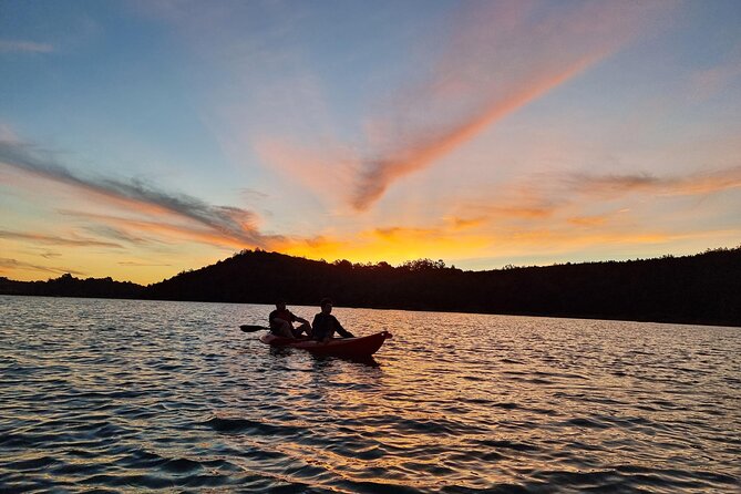 Bioluminescence Kayak Tour - Est. 1994 - Two hours in the Long Bay and Okura Marine Reserve