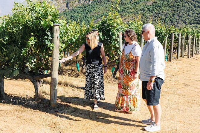 Boutique Wine Tour - visit Central Otago, 4 Wineries & Lunch - The final Gibbston tasting before Queenstown