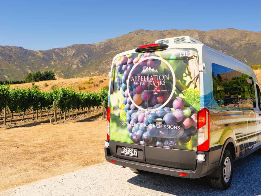 Boutique Winery Half-Day Tour & Vineyard Platter-Style Lunch - Who will enjoy this half-day outing
