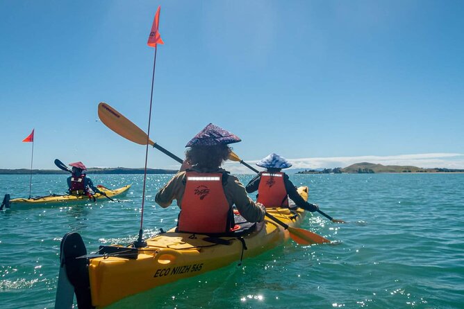 Browns Island Motukorea Sea Kayak Tour - Why Browns Island makes a fine Auckland day out