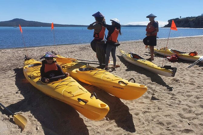 Browns Island Motukorea Sea Kayak Tour - Two hours exploring Motukorea