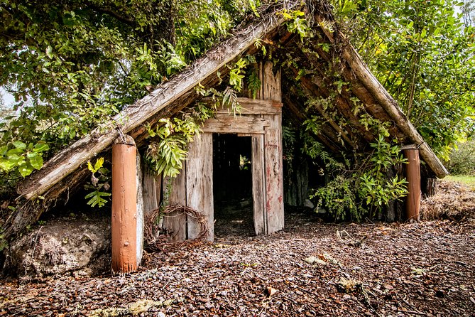 Buried Village of Te Wairoa - Is the $16.55 Admission Good Value?