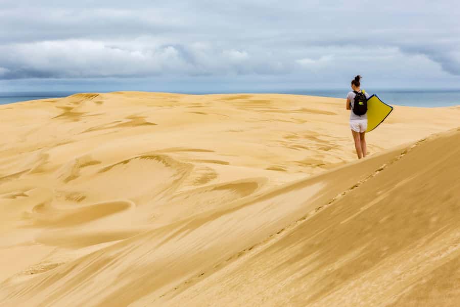 Cape Reinga: Day Trip from Paihia, Kerikeri, or Kaitaia - Key points to know before booking