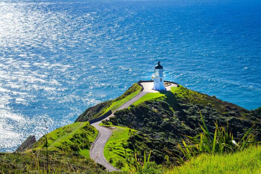 Cape Reinga: Day Trip from Paihia, Kerikeri, or Kaitaia - The northern road to Cape Reinga