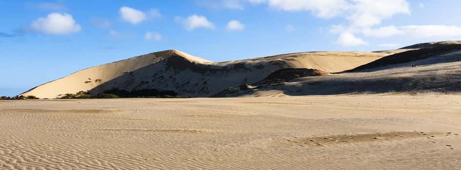 Cape Reinga: Day Trip from Paihia, Kerikeri, or Kaitaia - What the $136 price covers