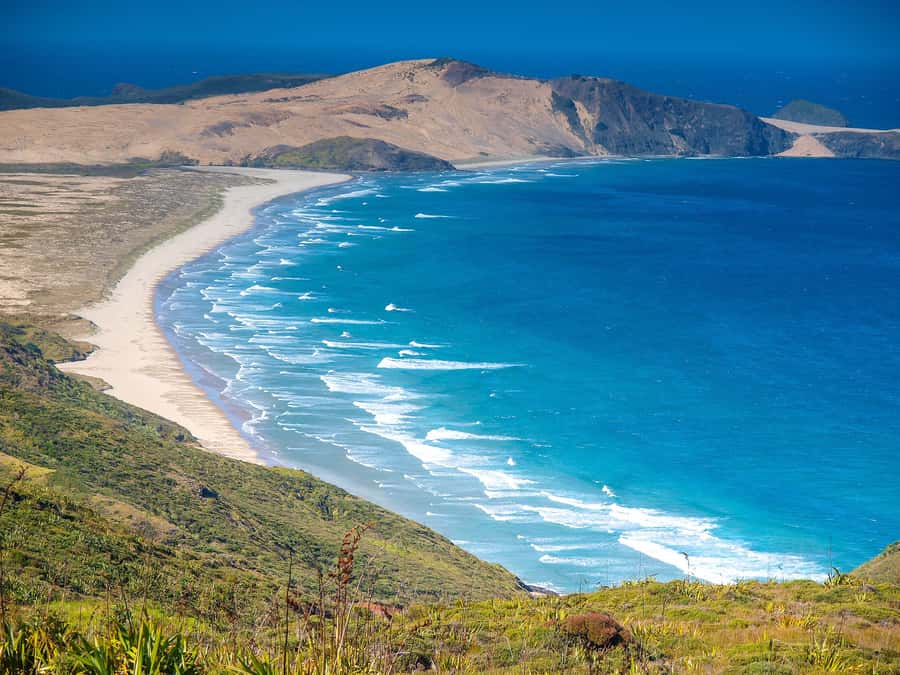 Cape Reinga: Day Trip from Paihia, Kerikeri, or Kaitaia - Small-group travel in a Mullarkey Tours van