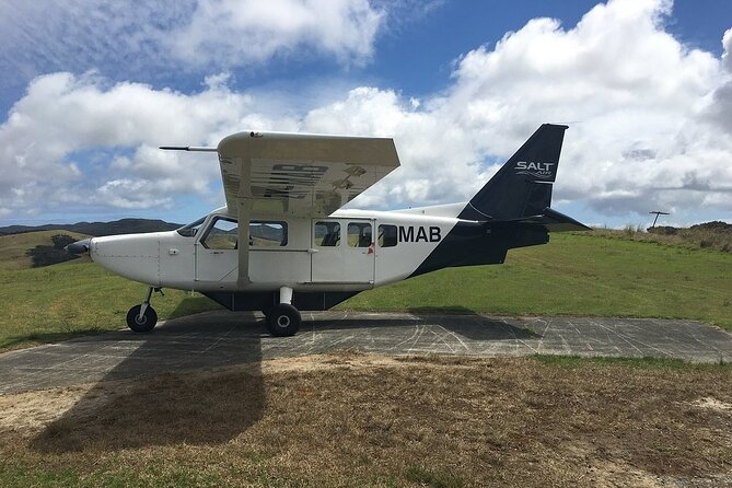 Cape Reinga Half-Day Tour Including Scenic Flight - A small aircraft with a front-row view