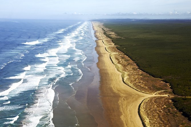 Cape Reinga Half-Day Tour Including Scenic Flight - Is $346.89 good value?