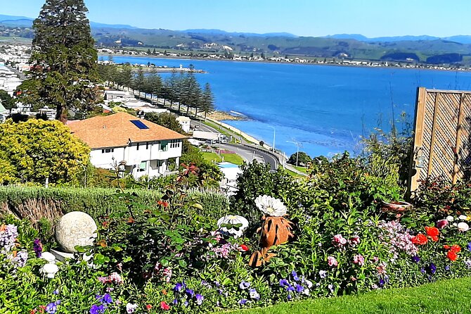 Cape Winery Cycle Tour - 6 wineries, self-guided - Elephant Hill: dramatic setting, slower pace