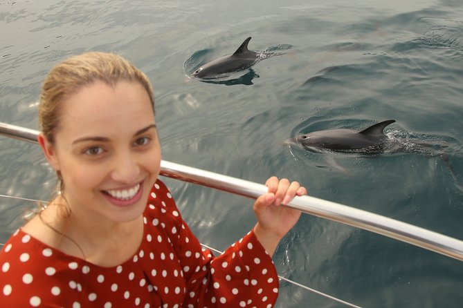 Captain Cook and Dolphin Cruise - Ship Cove and the Captain Cook connection